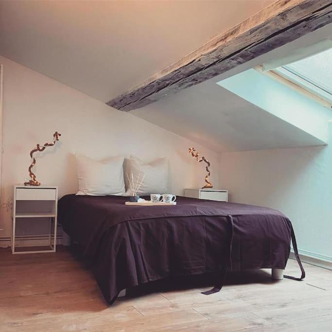 Nancy Appartement En Triplex Plein Centre Bagian luar foto